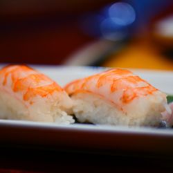 Ocean Sushi