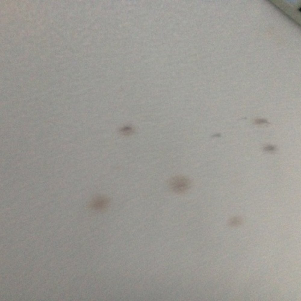So-Cal Auto Detailing - their idea of a completed "detail" - Auto Detailing Near Me So-Cal Auto Detailing - their idea of a completed "detail" - Auto Detailing Near Me