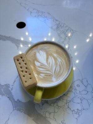 FROTH by null