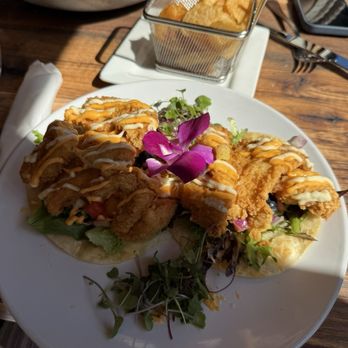 Testa's Bar & Grill - Fried fish tacos - Seafood Near Me - Bar Harbor, Maine Testa's Bar & Grill - Fried fish tacos - Seafood Near Me - Bar Harbor, Maine