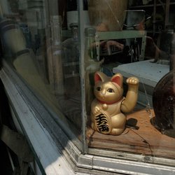 Doublehead Trading Company - Little fortune cat in the window