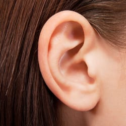 My Hearing Centers