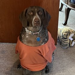 Companion Animal Care Center - All dressed up & no where to go!