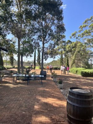 Faber Vineyard by null