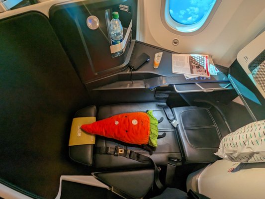 ZIPAIR Tokyo by null