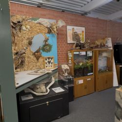 Shipley Nature Center - Additional displays in the nature center
