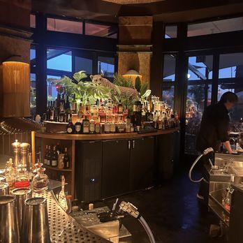 Filthy Animal - Bar area - Cocktail Bars Near Me - Tempe, Arizona