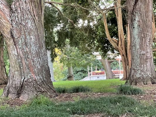 Auckland Domain by null