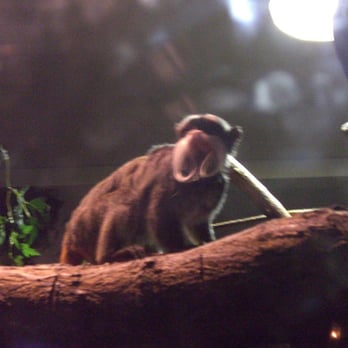 Le Zoo de Lille - Parks Near Me - Lille, 59