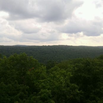 Cook Forest State Park - Great view from the fire tower - Parks Near Me - Cooksburg, Pennsylvania Cook Forest State Park - Great view from the fire tower - Parks Near Me - Cooksburg, Pennsylvania
