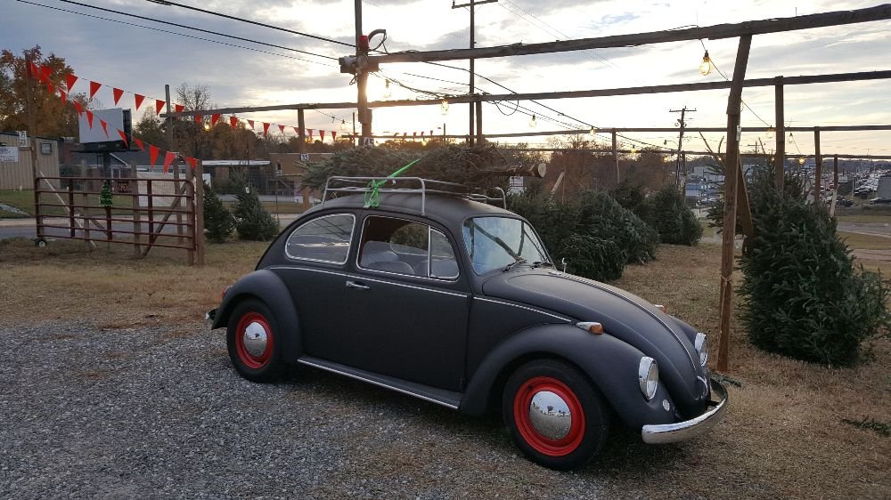 KING’S CHRISTMAS TREES Updated September 2024 4505 Wilkinson Blvd