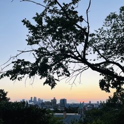 Witch's Hat Water Tower - Skyline view from up top