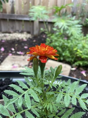 Little River Cooperative by null