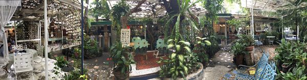 Rustic Mornings By Isabelo Garden by null