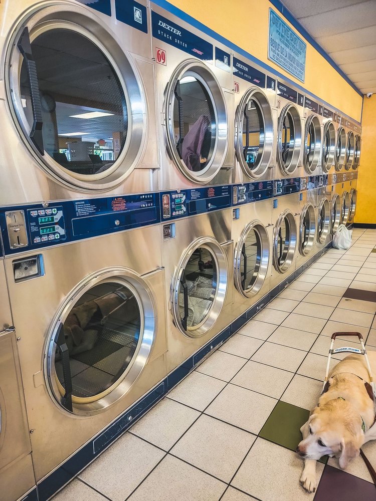 CIRCLE COIN LAUNDRY & DRY CLEANING Updated September 2024 4752 E