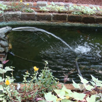 Lamothe House Hotel - Fountain in the courtyard - Hotels Near Me - New Orleans, Louisiana Lamothe House Hotel - Fountain in the courtyard - Hotels Near Me - New Orleans, Louisiana