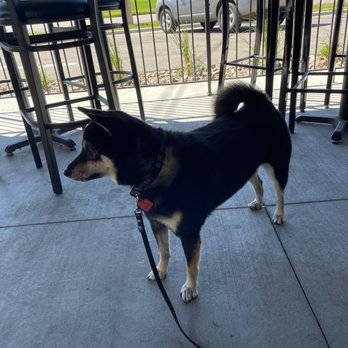 The Workshop Food Hall and Bar - Patio - Bars Near Me - Rochester, Minnesota