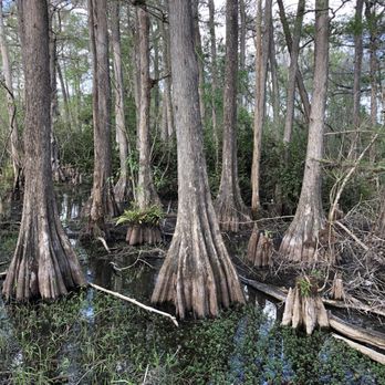 Wild Lime Adventures - Tours Near Me