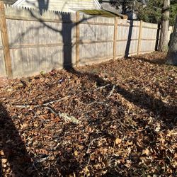 Integrity First Landscaping