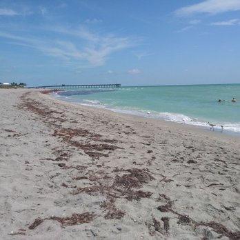Service Club Park - Venice pier in distance - Parks Near Me - Venice, Florida Service Club Park - Venice pier in distance - Parks Near Me - Venice, Florida