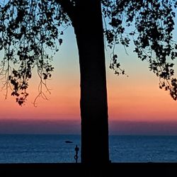 Seacliff Park