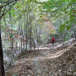 Arrowhead Park Cycling Trail - Arrowhead Park Cycling Trail