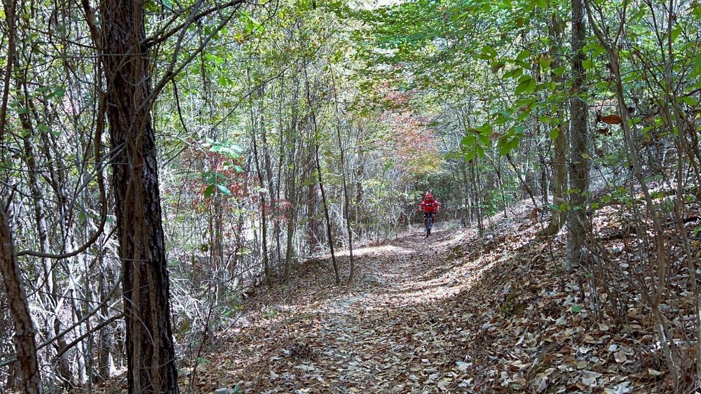 Arrowhead Park Cycling Trail Logo
