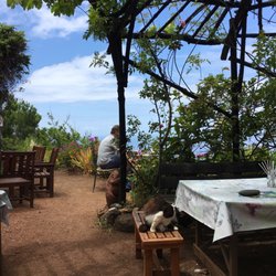 bio cafe finca Aloe