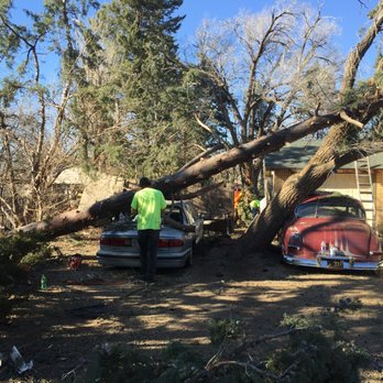 Wright Away Tree Service - Storm damage - Tree Services Near Me