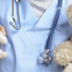 Harbor City Animal Hospital