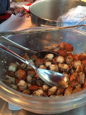 La Folperia ️ by null