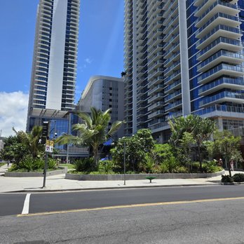 Dragon Burger - Burgers Near Me - Honolulu, Hawaii Dragon Burger - Burgers Near Me - Honolulu, Hawaii