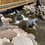 Photo of Meadow Brook Resort