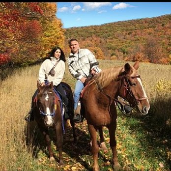 Mountain Brook Farm - Horse Boarding Near Me - Windham, New York