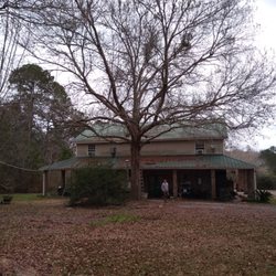 T & D Professional Tree Removal - Before