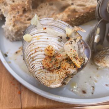 Crudo e Nudo - Steamed Venus Clams - Seafood Near Me - Santa Monica, California