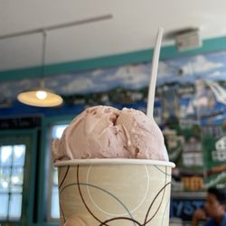 Mystic Drawbridge Ice Cream - Strawberry icecream
