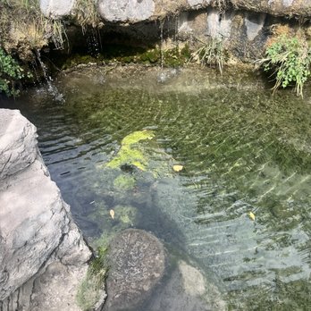 Carlito Springs - Hiking Near Me - Cedar Crest, New Mexico