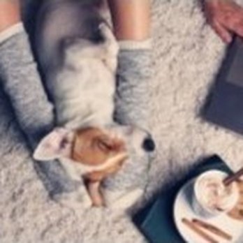 Chem-Dry A Able - Safe, clean carpet for any activity! - Carpet Cleaning Near Me - Richmond, California