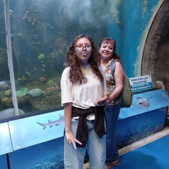 Obi Tours - Tours Near Me - Puerto Vallarta, JAL