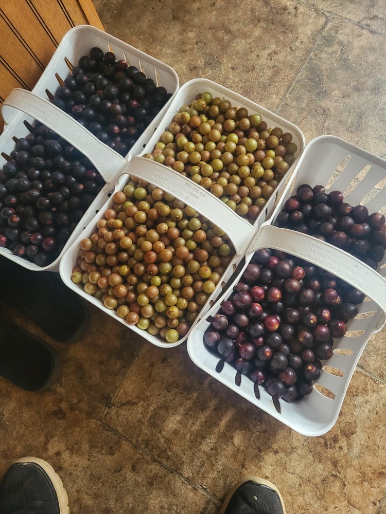 Strickland Pride Produce Logo