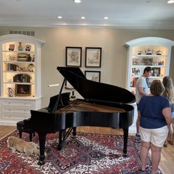 Leon Banilivi Rugs - Piano area