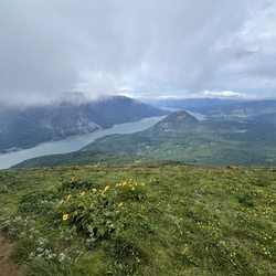 Dog Mountain Trail