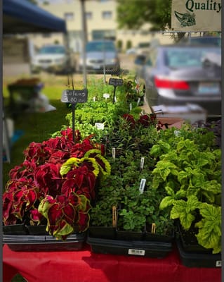 Spokane Farmers' Market by null