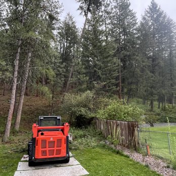 Continental Tree and Land Care - Tree Services Near Me - Missoula, Montana Continental Tree and Land Care - Tree Services Near Me - Missoula, Montana