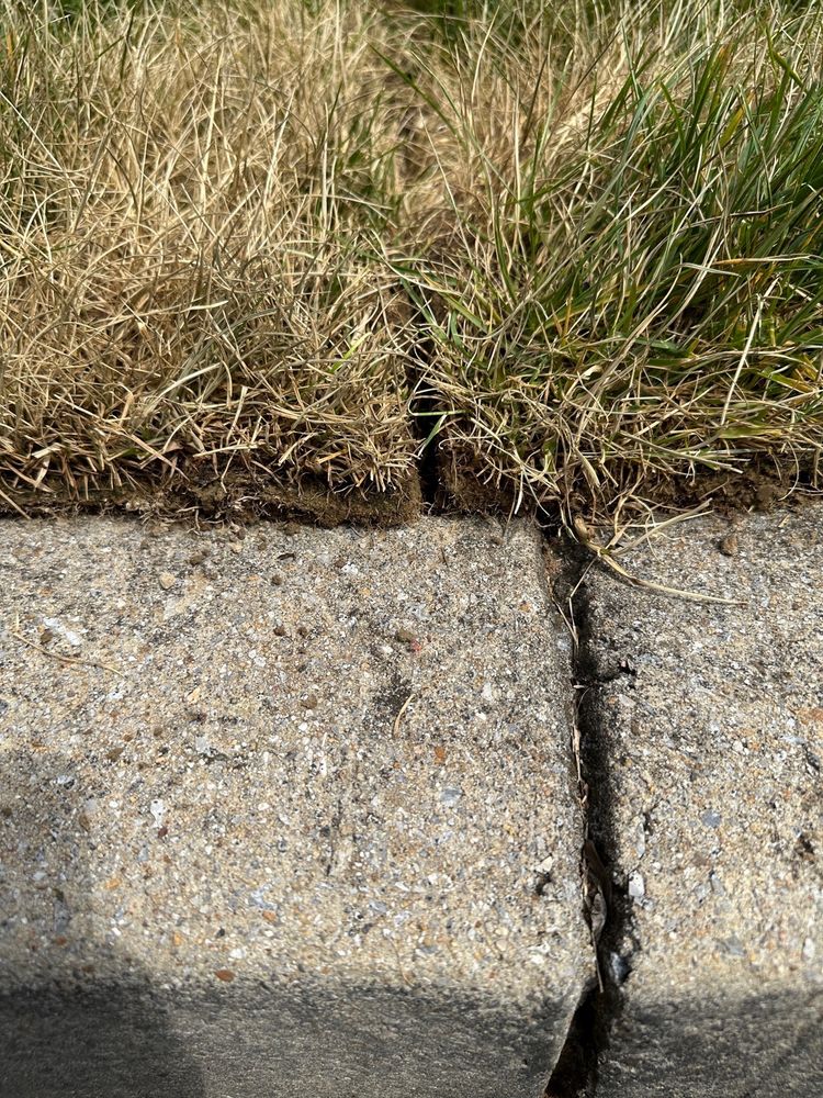 The Yard Force - tree service in Knoxville, TN