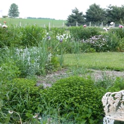 Fox Flower Farm