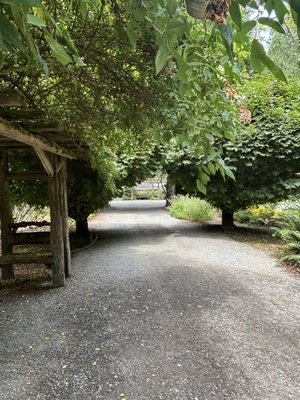 Milner Gardens & Woodland - Vancouver Island University by null