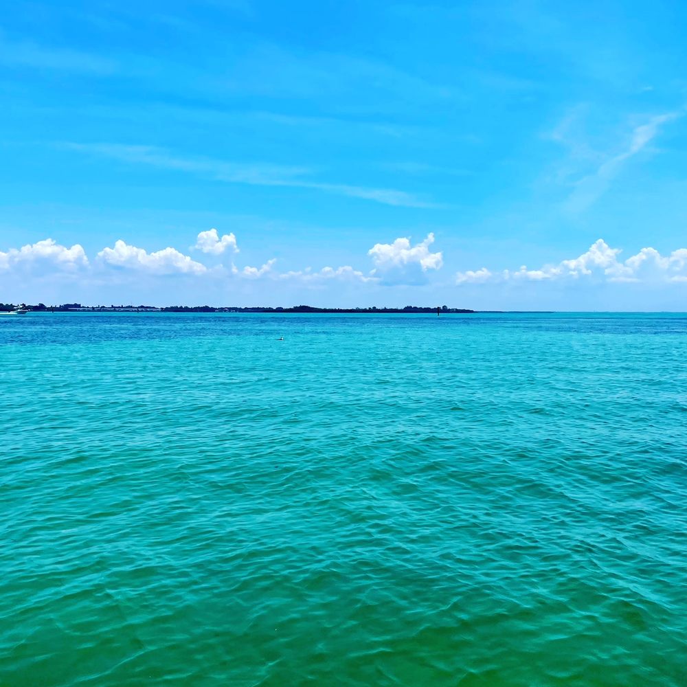 Passage Key Dolphin Tours - blue waters - Snorkeling Near Me - Bradenton Beach, Florida