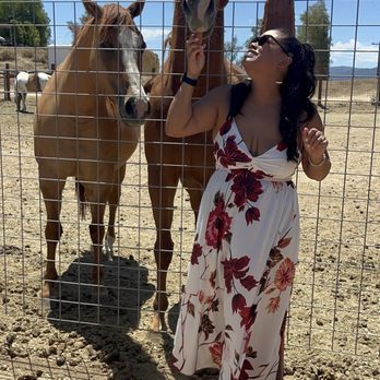 Danza del Sol Winery - Wine Tours Near Me - Temecula, California